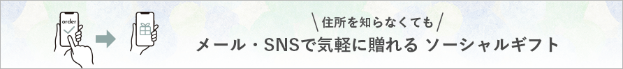ソーシャルギフト　詳細はこちら