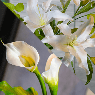 カサブランカ＆カラー