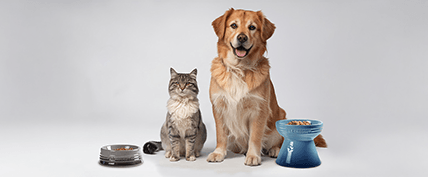 LE CREUSET PET テーブルウェア