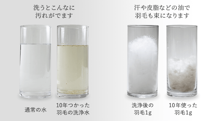 10年使うと羽毛はこんなに変わります