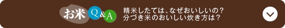 お米Q&A 精米したては、なぜおいしいの？分づき米のおいしい炊き方は？