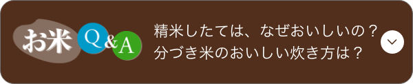 お米Q&A 精米したては、なぜおいしいの？分づき米のおいしい炊き方は？