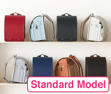 Standard Model