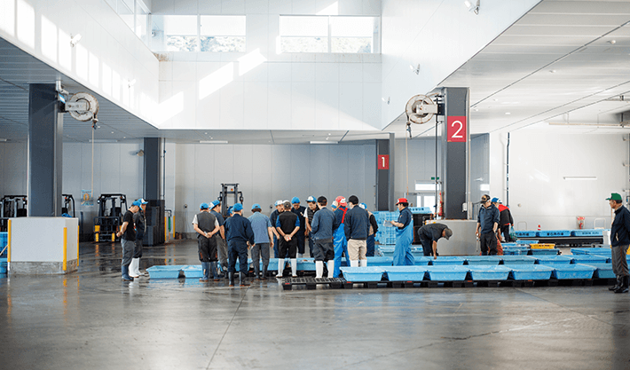 魚と食卓の新しい関係。