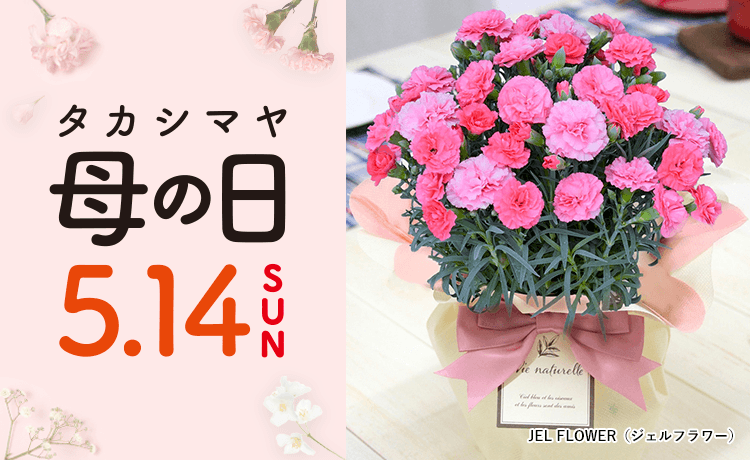 タカシマヤ母の日 2023