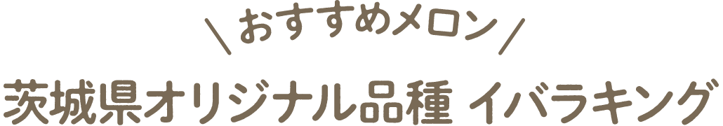 おすすめメロン　茨城県オリジナル品種 イバラキング