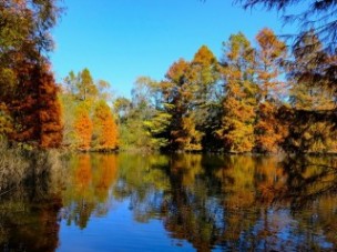 柏ビレジ水辺公園