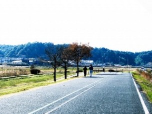 手賀沼の冬景色