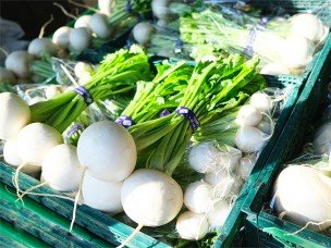今が旬のジモト野菜　かぶ