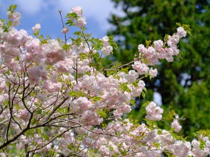下田の杜