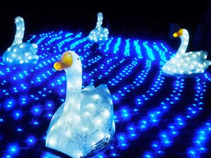 ちょっと素敵なジモトスポット 北柏ふるさと公園のイルミネーション