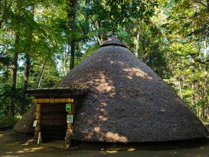 ちょっと素敵なジモトスポット　松戸市立博物館