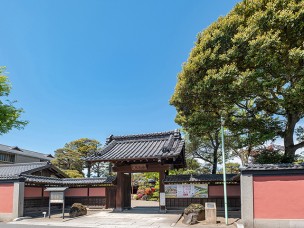 ちょっと素敵なジモトスポット　野田市市民会館（旧茂木佐平治邸）