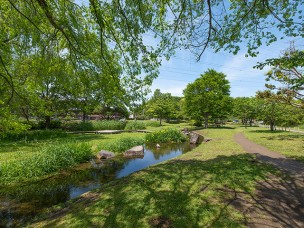 ちょっと素敵なジモトスポット　野々下水辺公園