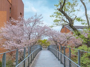 ちょっと素敵なジモトスポット　学校法人廣池学園の春