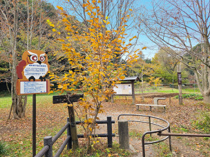 ちょっと素敵なジモトスポット　下田の杜