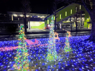 ちょっと素敵なジモトスポット　湖北駅南口ロータリー イルミネーション