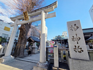 ちょっと素敵なジモトスポット　柏神社の御朱印