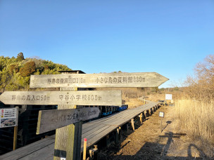 ちょっと素敵なジモトスポット　守谷野鳥のみち