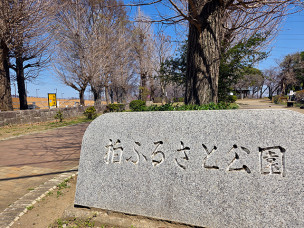 ちょっと素敵なジモトスポット　柏ふるさと公園とサクラ