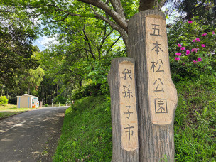 ちょっと素敵なジモトスポット　五本松公園