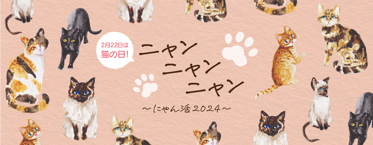 京都高島屋S.C. T8（専門店）の2月22日は猫の日！ニャンニャンニャン