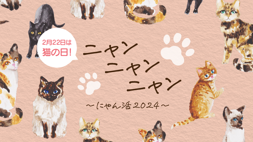 京都高島屋S.C. T8（専門店）の2月22日は猫の日！ニャンニャンニャン