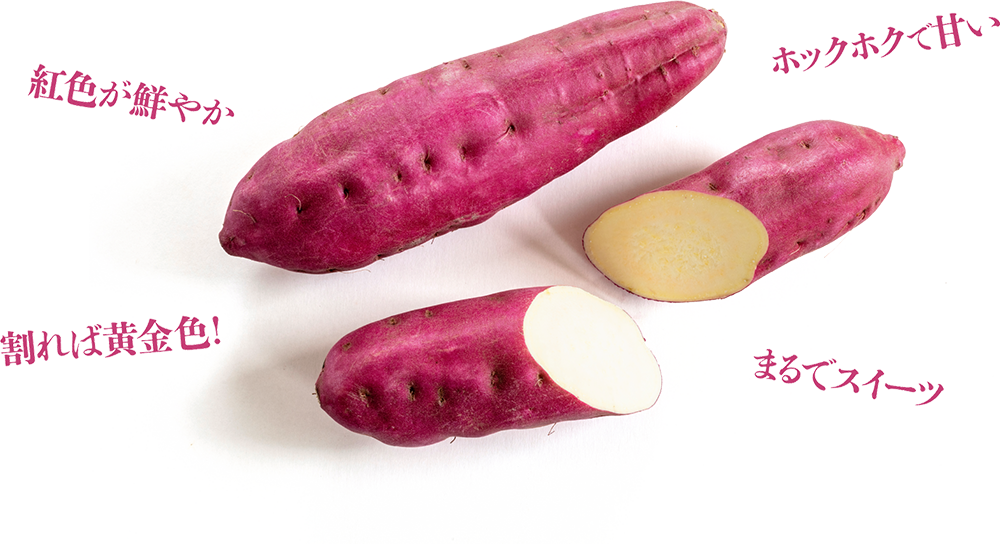 徳島のなると金時さつまいもフェア