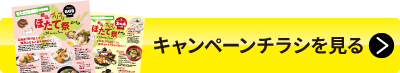 キャンペーンチラシを見る