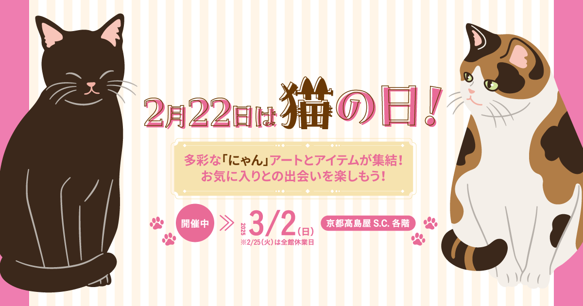 猫屋敷！ 猫屋敷ひめか【きゅーんず！】 (@kyuuuns_himeka) / X