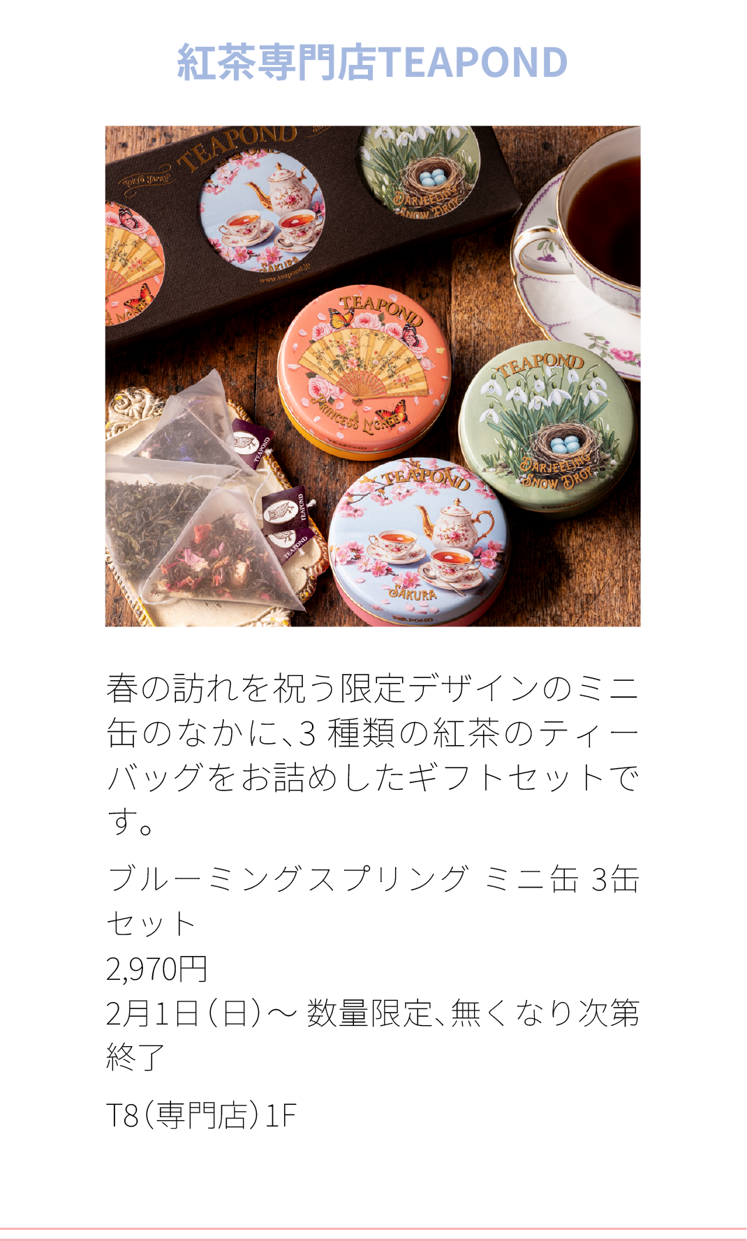 紅茶専門店TEAPOND