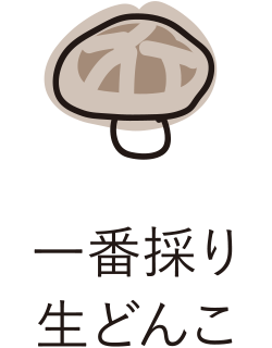 一番採り生どんこ