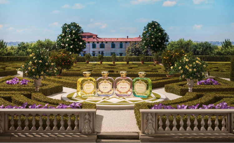 Santa Maria Novella（サンタ・マリア・ノヴェッラ）の通販