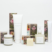 [ペダル アンド センツァ］POP UP SHOP