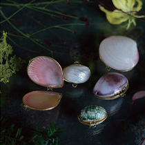 ［ROOTS ROSE RADISH by SETTE］POP UP SHOP