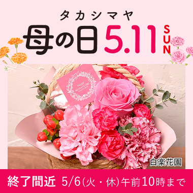 母の日リビング
