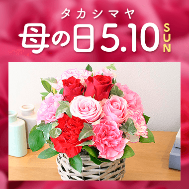 母の日 プレゼント・ギフト2026