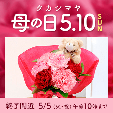 母の日 プレゼント・ギフト2026