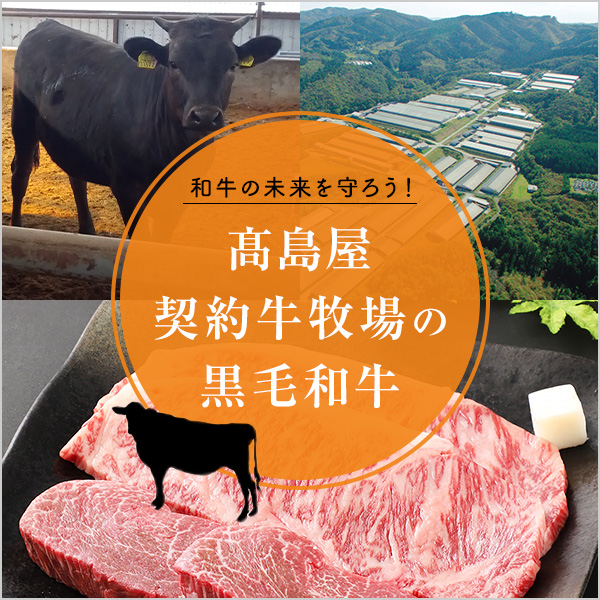 契約牛牧場の黒毛和牛