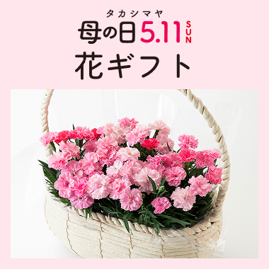 母の日 花ギフト