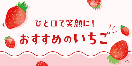 宮崎完熟紅苺「おおきみ」と白苺「天使の苺」