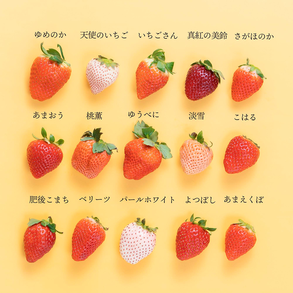 何が届くかお楽しみに！　いちご12種類食べ比べ