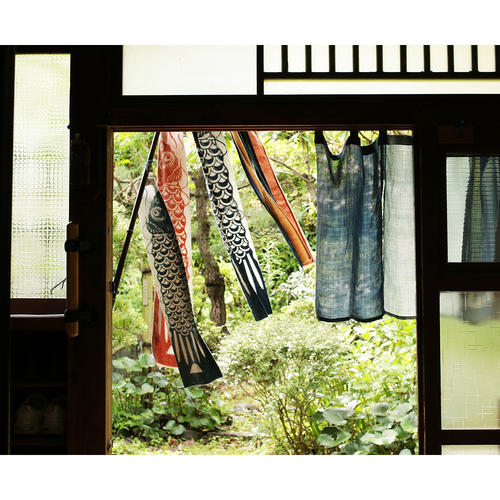 藍と草木の手染め鯉のぼり　プレミアム5点セット　桐箱・風呂敷付