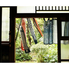 藍と草木の手染め鯉のぼり　プレミアム5点セット　桐箱・風呂敷付