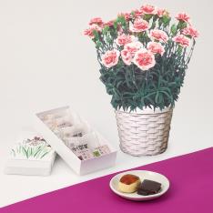 【母の日】カーネーションイチゴホイップ花鉢＆岡埜栄泉和菓子詰合せ