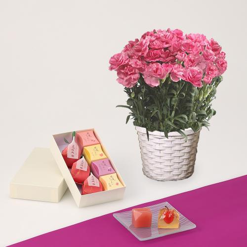 【母の日】カーネーション花鉢ピンク＆宗家源吉兆庵花桜桃　果実ようかん詰合せ