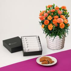 【母の日】カーネーションオレンジドレス花鉢＆KOGANEANどら