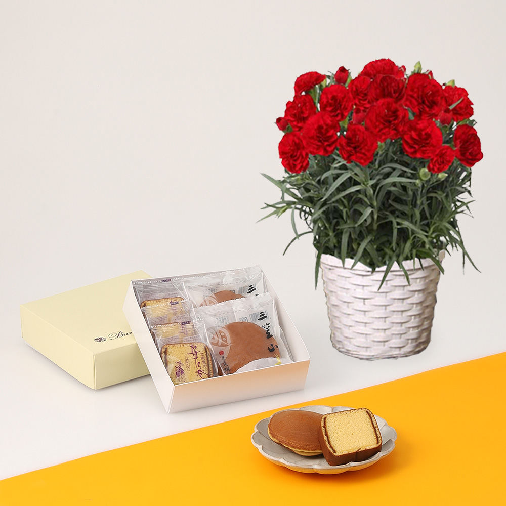 【母の日】カーネーション花鉢　赤＆横濱文明堂銘菓詰合せ