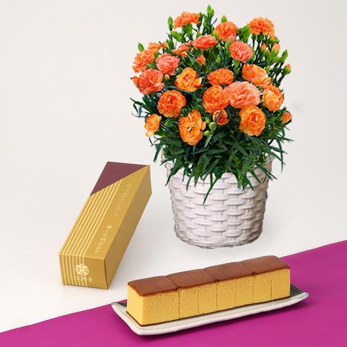 【母の日】カーネーションオレンジドレス花鉢＆横濱文明堂極上金カステラ