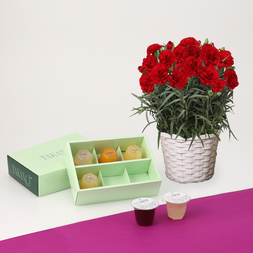 【母の日】カーネーション花鉢　赤＆新宿高野果実ゼリー